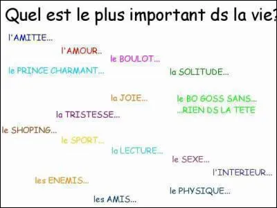 Quelle est la chose la plus importante dans ta vie ?