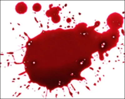 Tu rentres de ton voyage. Maintenant tu vas devoir répondre à trois questions. La première : as-tu peur du sang ?