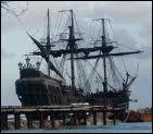 Dans la saga ' Pirates des Carabes', a qui appartient le 'Black Pearl' ?