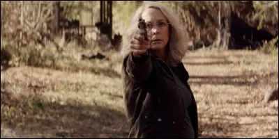 De quel film vient cette image ?