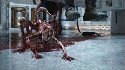 D'où vient cette image ?