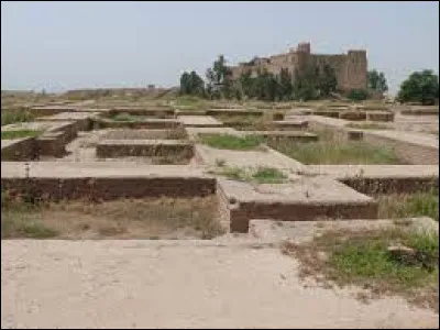 Située dans le sud ouest de l'actuel Iran, c'était la capitale de l'Elam puis, aux Ve et IVe siècles av. J.-C, la capitale de l'Empire perse achéménide, résidence royale avec le palais de Darius Ier.