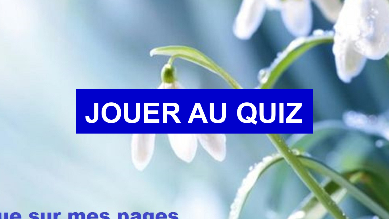 Quiz Plantes