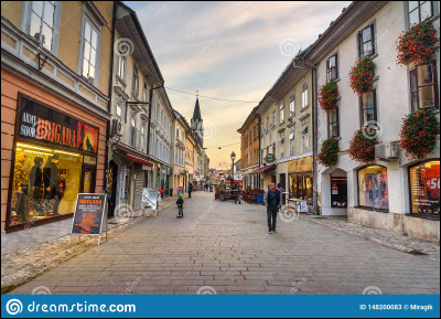 Quelle est la capitale de la Slov&eacute;nie ?