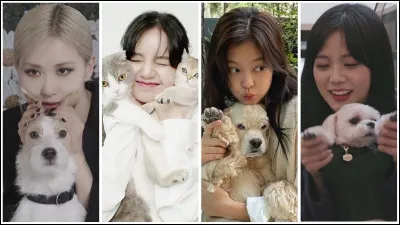 Quel est ton animal préféré ?