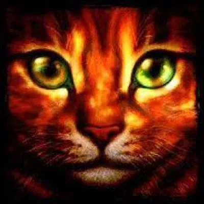 Tu es un guerrier du clan de l'Ombre. Lors d'une patrouille, seul à la frontière avec le clan du Tonnerre, tu découvres un guerrier en train de chasser du gibier sur tes terres. Que fais-tu ?