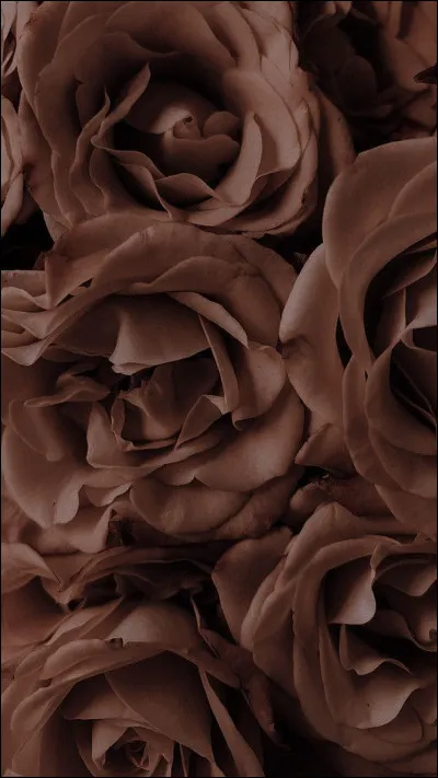 Quelle est cette couleur ?