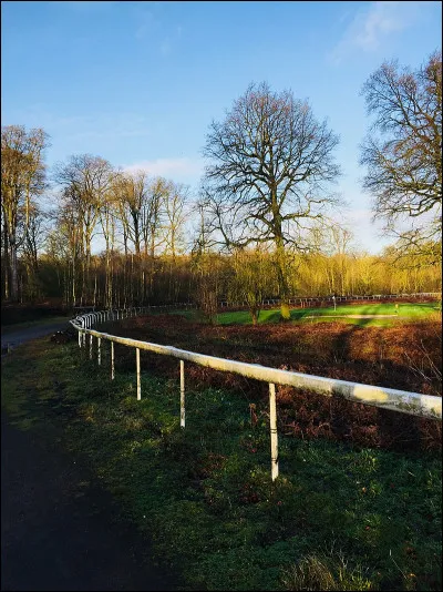 Lequel de ces livres est le premier de Nikos Kazantzákis ?