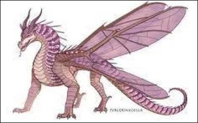 Comment sappellent les gens de ton clan ?