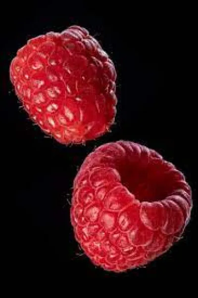 Sur quoi les framboises poussent-elles ?