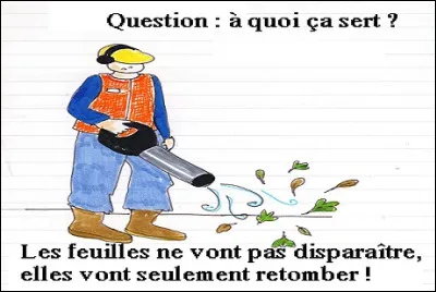 On se d&eacute;m&egrave;ne mais le r&eacute;sultat n'est pas flagrant !
