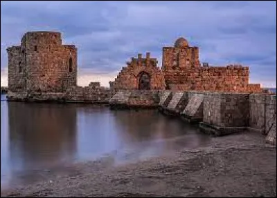 Construite sur un promontoire s'avançant dans la mer, cette cité maritime était le plus grand port et la capitale incontestée de la Phénicie.