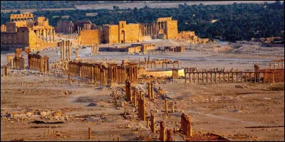 Cette ville, mentionnée dès le IIIe millénaire, était située dans une oasis du désert syrien, sur les routes marchandes reliant la Mésopotamie à la Syrie et à la côte méditerranéenne. Elle a conservé des vestiges monumentaux, en partie saccagés par l'Etat islamique.