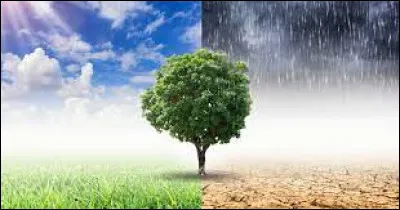 Tu préférerais vivre dans un climat : (1)