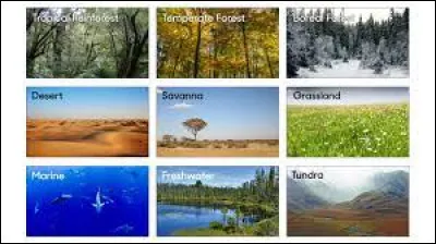 Où aimerais-tu vivre ? (2)