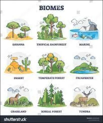 Où aimerais-tu vivre ? (3)