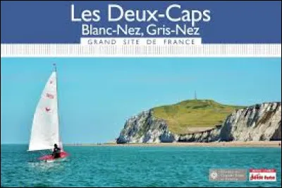 Les caps Gris-Nez et Blanc-Nez se trouvent en Bretagne.