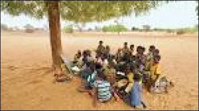 Pays en développement : Pays où la production de richesse est...