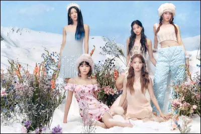 Qui sont les membres ?