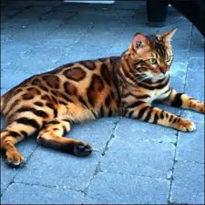 Qui a tué sa mère ?