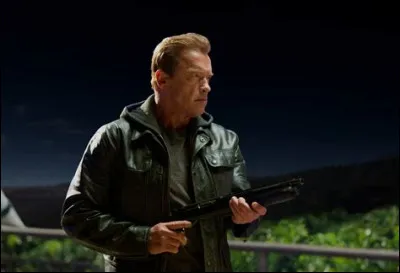 Dans combien de films Terminator Arnold a-t-il joué ?