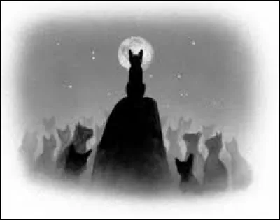 Le lieutenant, Griffe Tranchante, est mort lors d'une attaque du clan de la Glace. Étoile Brune te choisit pour lui succéder. Quel discours fais-tu à tes camarades ?