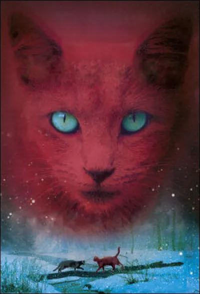 Un jour, tu apprends une prophétie te concernant toi, Pelage de Panthère, Petite Terre, Petite Crème et Petite Pierre...