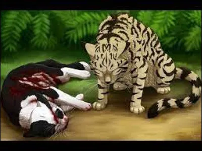 Un drame s'est produit peu de temps après : Étoile Brune est mort à cause du mal blanc, ainsi que Goutte de Pluie et Aile de Dragon. Que fais-tu ?