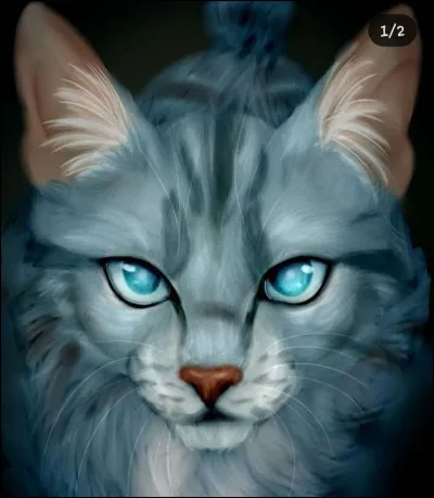 Plus tard, tu deviens Étoile de Plume/de Miel/de Fauve/d'Orchidée. Le lieutenant que tu avais choisis était Terre Stérile, et Pierre Grise avait succédé Source Scintillante. Tu apprends grâce à lui que tu en es à ta dernière vie...