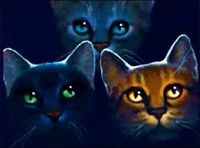 Depuis, tu es très affaibli (e). Un peu plus tard, tu apprends que Crème Blanche et Pelage de Panthère ont eu des petits...