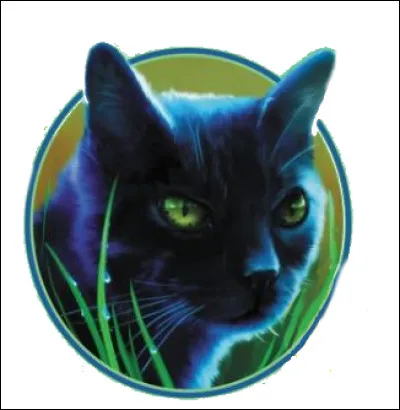 Le soir, tu apprends que ça va être le baptême de nouveaux apprentis : Petite Pluie, Petite Panthère et Petit Bouleau. Étoile Brune les a nommés apprentis, et à ta grande surprise, il te nomme mentor de Nuage de Panthère. Quelle est ta réaction ?