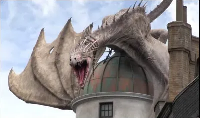 Lors de la première épreuve quel dragon Fleur Delacour a-t-elle tiré ?