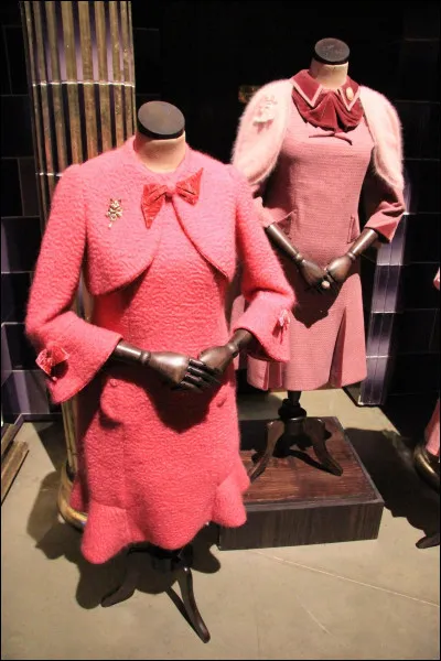 Qu'y a-t-il partout dans le bureau de Dolores ?