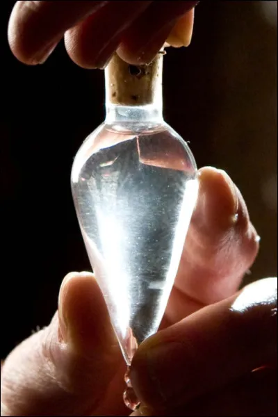 Quel est le nom de la potion que le professeur Slughorn donne à Harry ?