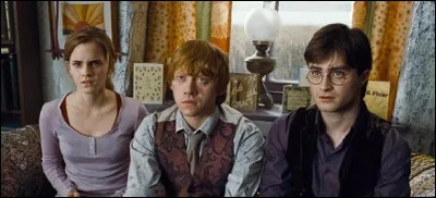 Quels objets Albus Dumbledore lègue-t-il à Harry, Ron et Hermione ?