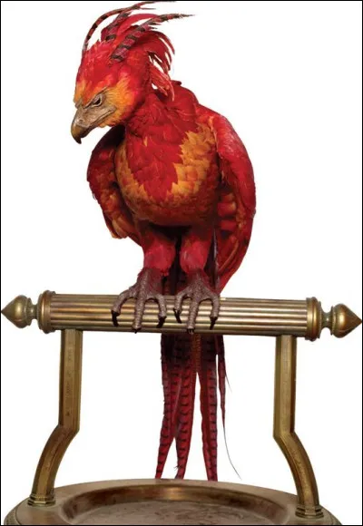 Comment se nomme le ph&oelig;nix d'Albus Dumbledore ?