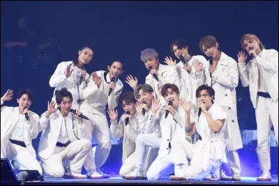 Quel accident s'est produit lors d'un de leurs concerts ?