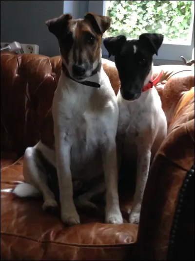 Sous quel nom est plus connu Éric Marlon Bishop ?