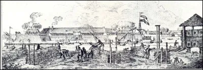 Quel légume peut être Blonde de Paris, Salvina ou beaujolaise ?