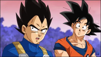 Comment se nomment-ils ?