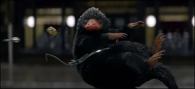 Cet animal proche d'une taupe a pour particularité d'être attiré par tout ce qui brille, et adore voler les objets. Dans quel film l'aperçoit-on ?