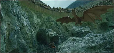 Dans quel film Harry Potter trouve-t-on ce dragon ?