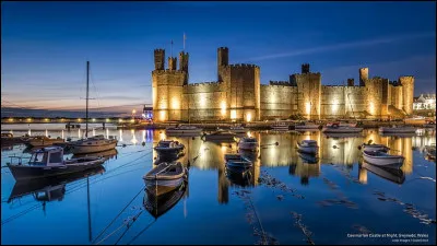 Quelle chanteuse est galloise ?