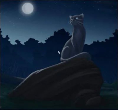 Choisis un chat LGDC.