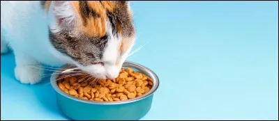 Quel gibier mangera ton clan ?