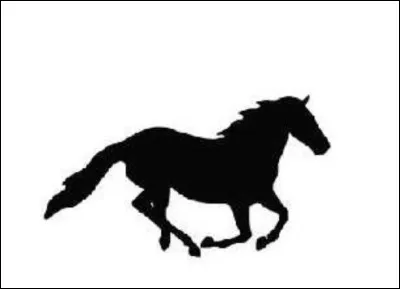 Combien de temps a le galop ?