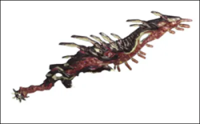 Quel est le statut de base de la Mire ?