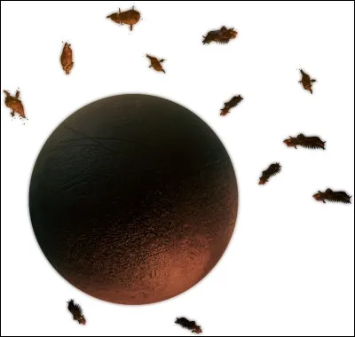 Quel est le boss de Sedna ?