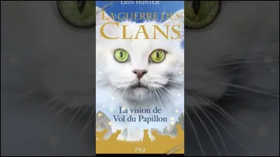 Vol du Papillon a décidé de la première règle du code du guérisseur. Quelle est cette règle ?