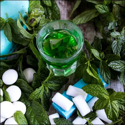 Quelles plantes peuvent être utilisées en cas de maux de ventre ?